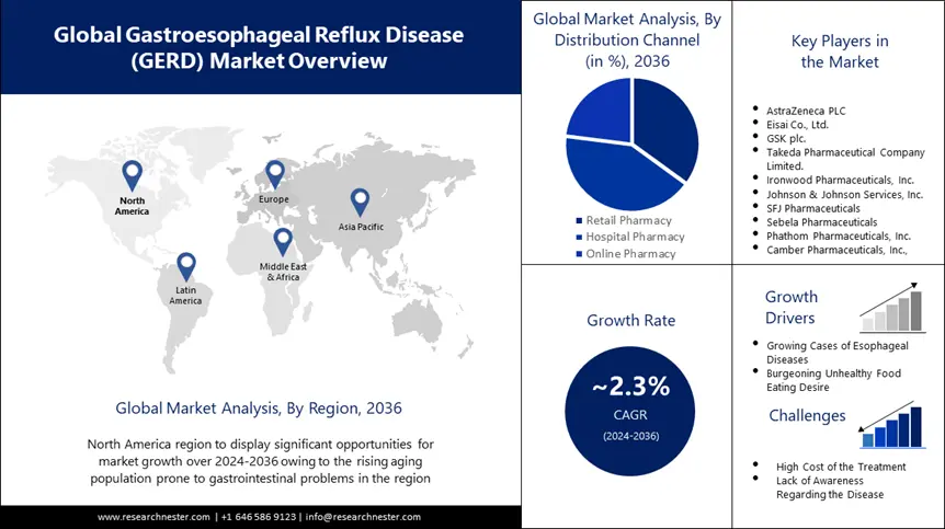 Gastroesophageal Reflux Disease (GERD) Market Overview